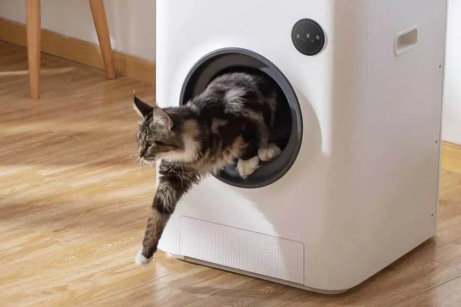 automatic cat litter box