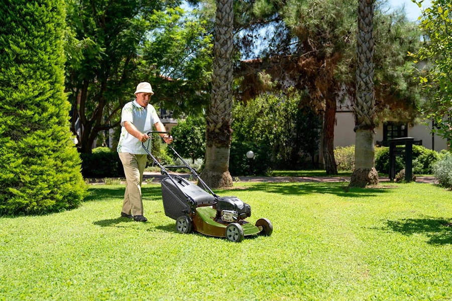 self propelled lawn mower top rated